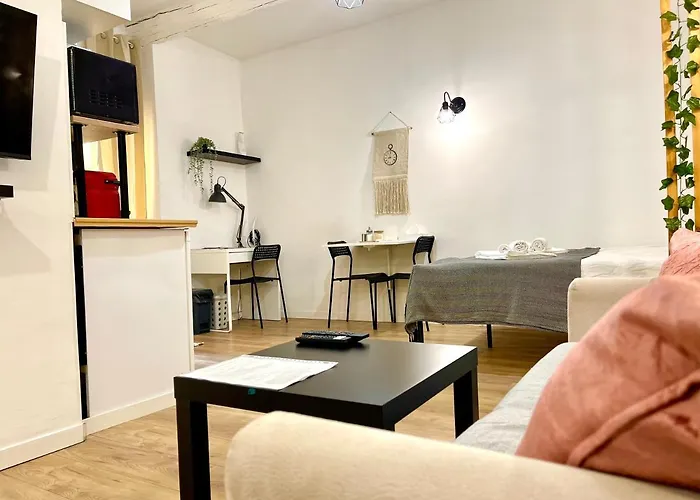 Cosy Modern Studio In The Heart Of Nice With Ac